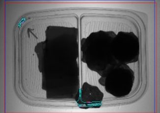 Seal & Channel Leaker Inspection  image