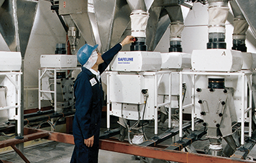 Gravity Fall Detectors Safeline image